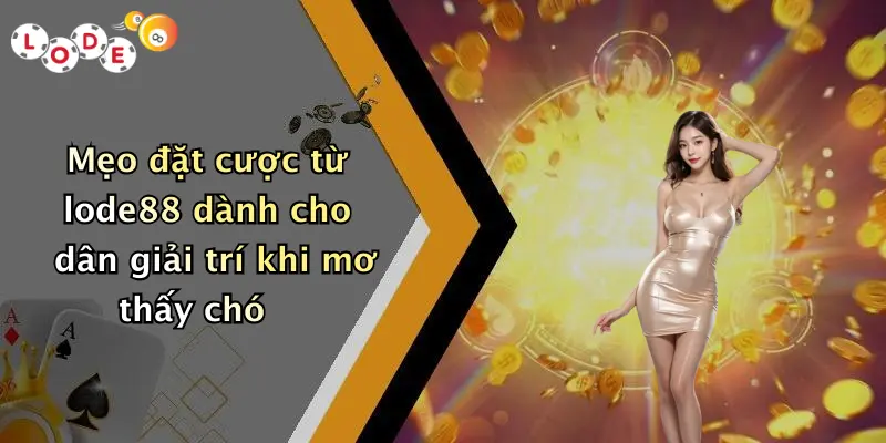 Mẹo đặt cược từ lode88 dành cho dân giải trí khi mơ thấy chó