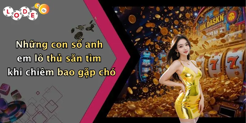 Những con số anh em lô thủ săn tìm khi chiêm bao gặp chó